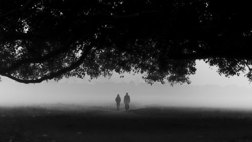 Silhouette couple walking on field in park during foggy weather