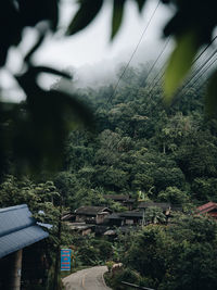 High angle view of trees and houses in forest