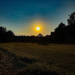 Scenic view of field against clear sky during sunset