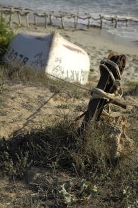 Old ruin of old building