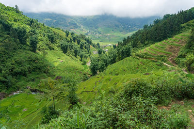 Spectacular views on valley with green rice terraces. summer nature background. vietnam