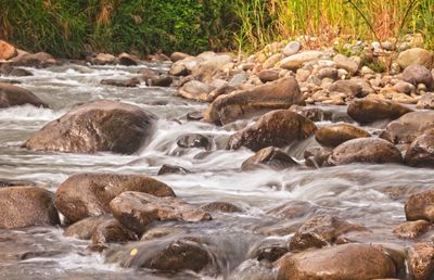 Scenic view of river flowing through rocks in forest