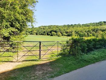 Scenic view of field against clear sky