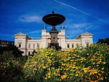 View of flowering plants against building