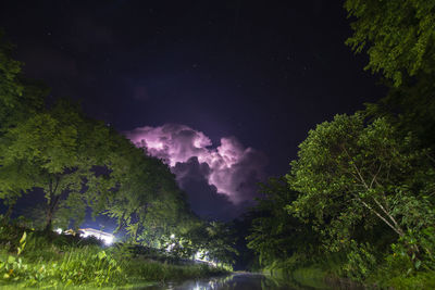 Low angle view of illuminated trees against sky at night