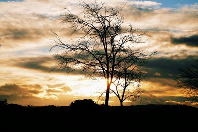 Silhouette of bare tree against cloudy sky