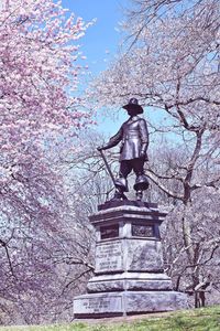 Low angle view of woman standing on tree