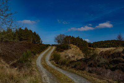 Road amidst trees against blue sky