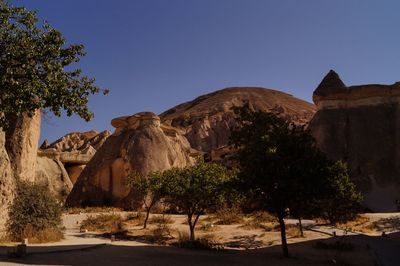 View of trees and rocks against blue sky