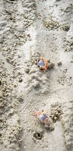 High angle view of people on beach