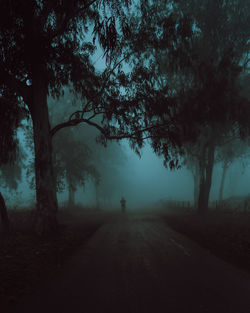 Road amidst trees during foggy weather