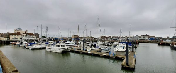 Sailboats moored at harbor