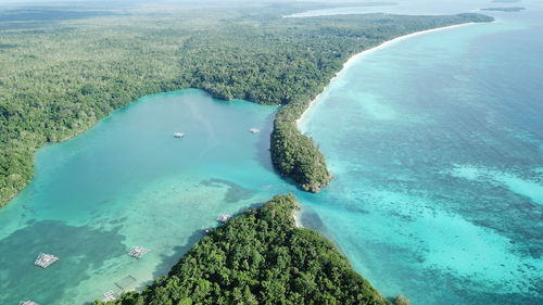 High angle view of sea shore