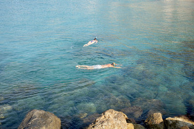 High angle view of fishes swimming in sea