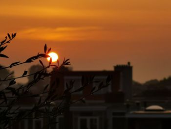 Close-up of silhouette plants against romantic sky at sunset