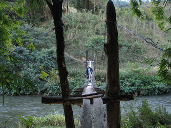 Statue amidst trees