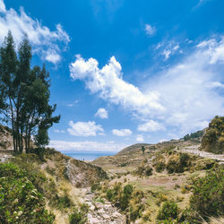 Scenic view of landscape against blue sky