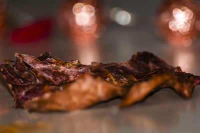 Close-up of dry leaf on table