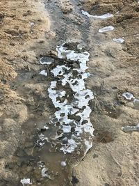 High angle view of snow on beach