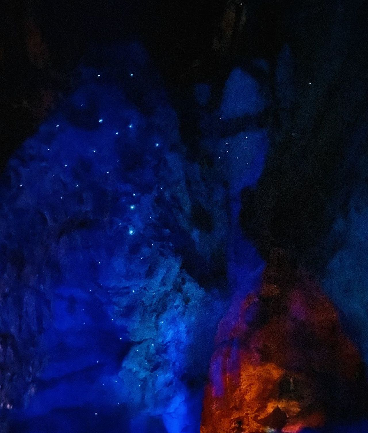 Waitomo Glowworm Caves