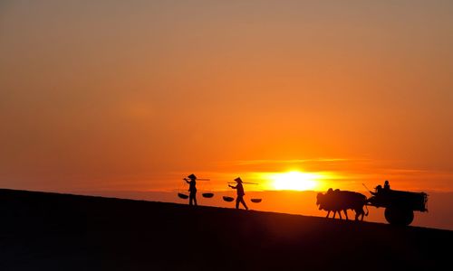 Silhouette people riding horse at sunset