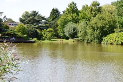 Scenic view of lake by trees against sky