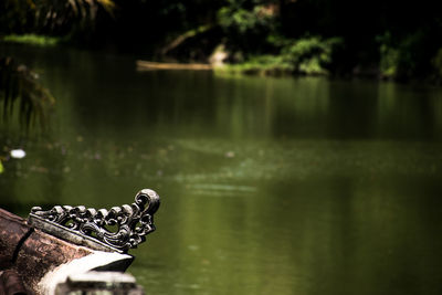 View of a turtle swimming in lake