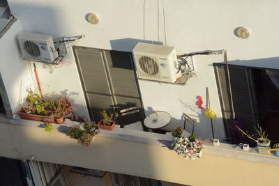 Low angle view of potted plants on table at home