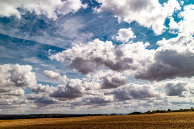 Scenic view of agricultural field against sky