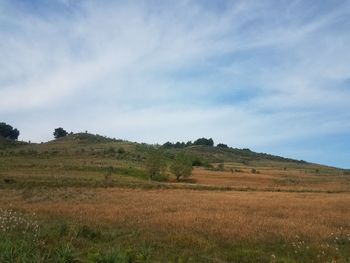 Scenic view of field against sky