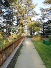 Street amidst trees against sky