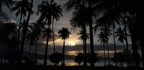 Silhouette palm trees against sky during sunset