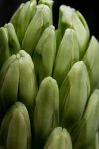 Full frame shot of vegetables