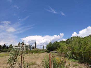 Panoramic shot of trees on field against sky