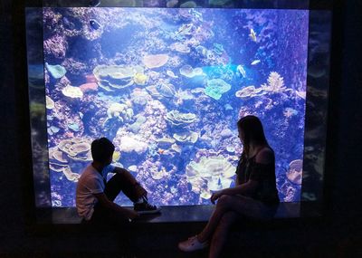 Rear view of people sitting in aquarium