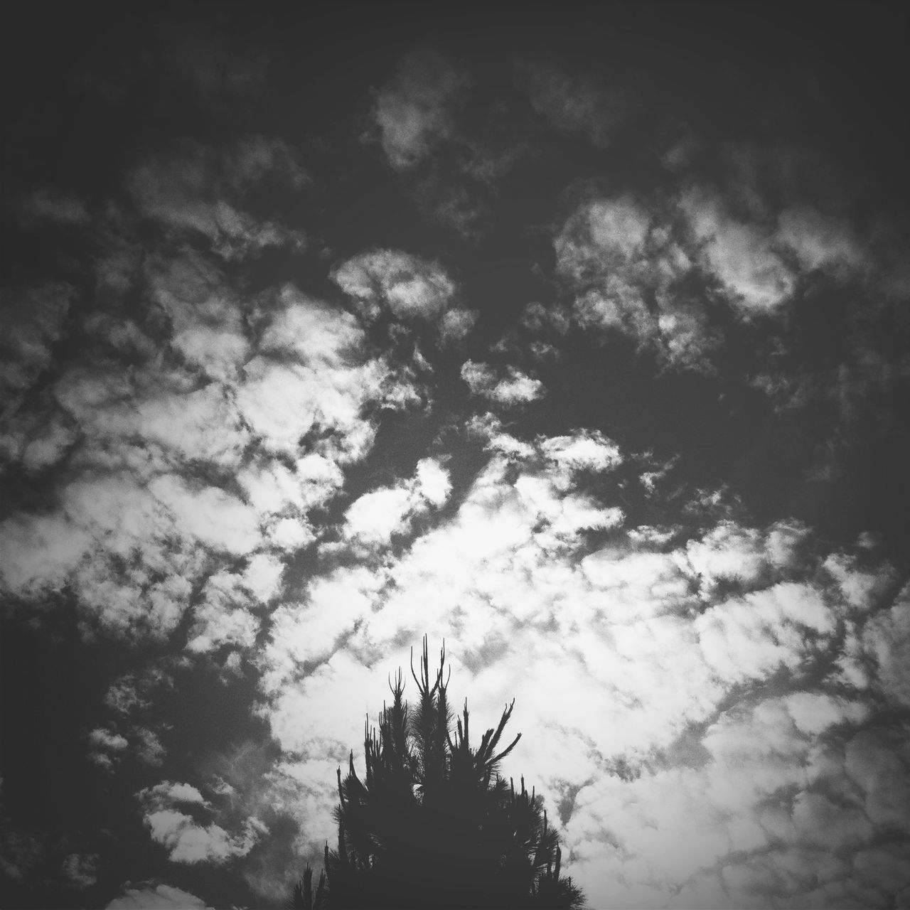 low angle view, sky, cloud - sky, cloudy, silhouette, tree, built structure, cloud, architecture, nature, dusk, building exterior, outdoors, high section, no people, weather, overcast, day, tranquility, growth