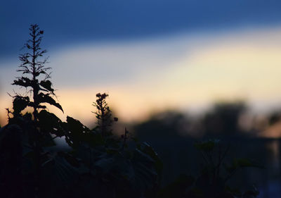 Scenic view of sky at sunset