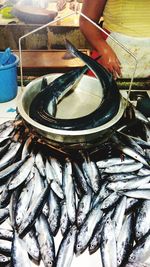 High angle view of fish for sale at market