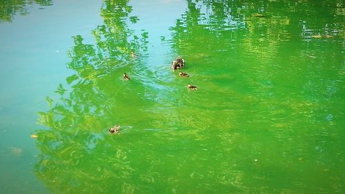 View of people in water