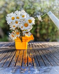 Close-up of yellow flower on table