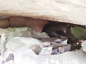 High angle view of a rock