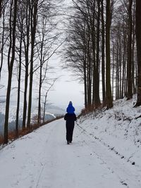 Rear view of man walking in snow