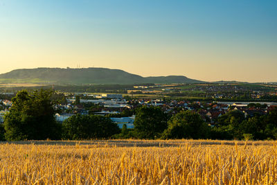 Scenic view of field against clear sky