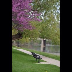 Scenic view of pond