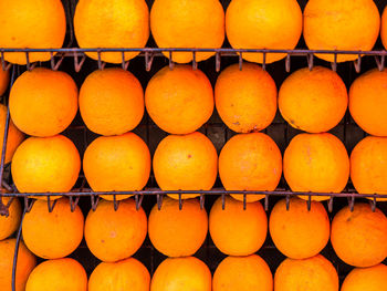 Close-up of orange fruits in row