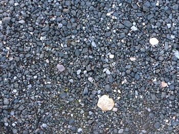 Full frame shot of pebbles on beach