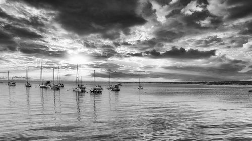 Sailboats in monterey