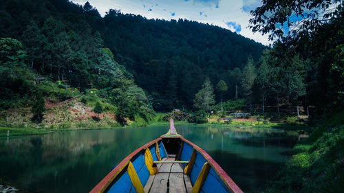 Scenic view of lake in forest