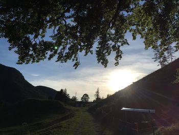 Scenic view of landscape at sunset