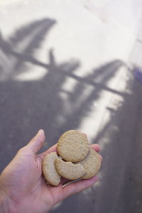 Midsection of person holding cookies